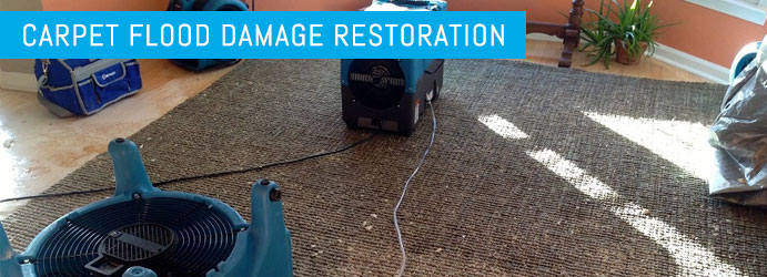 Carpet Flood Damage Restoration Loganholme