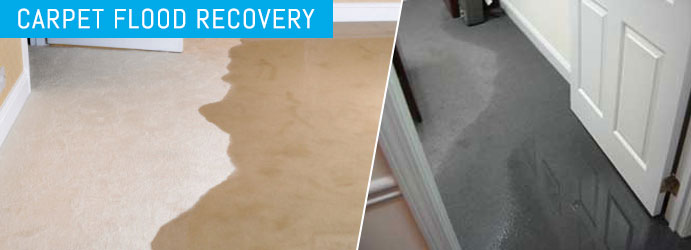 Carpet Flood Recovery Mansfield