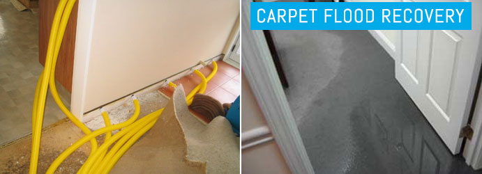 Carpet Flood Recovery Pagewood
