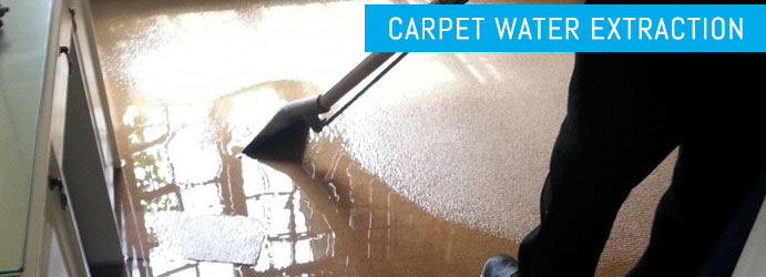 Carpet Water Extraction Whiteside
