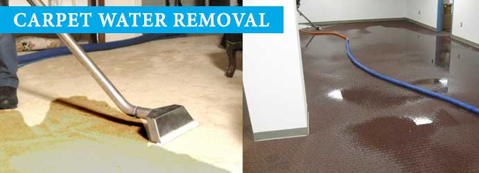 Carpet Water Removal Mulgrave