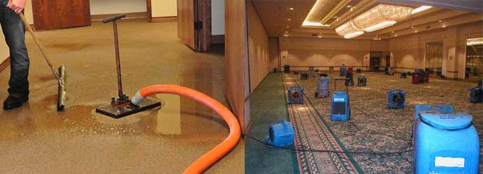 Flood Damage Carpet Restoration Tecoma