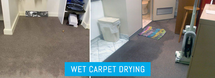Wet Carpet Drying Silverdale