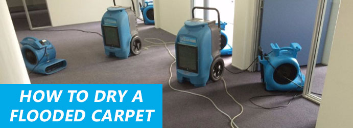 How to dry a flooded carpet