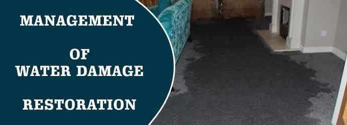 Wet Carpet Restoration Whitby