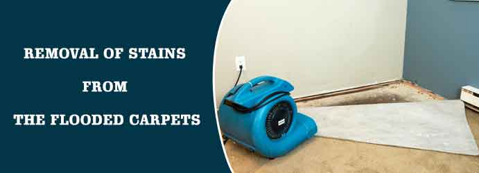 Removal of-stains from the flooded carpets