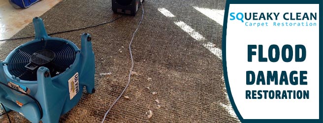 Carpet Flood Damage Restoration