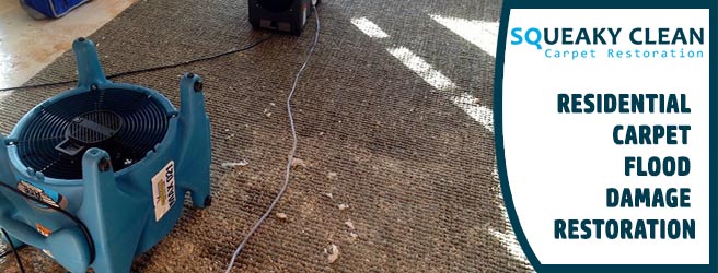 Residential Carpet Flood Damage Restoration