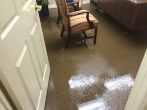 Same Day Carpet Flood Water Damage Restoration